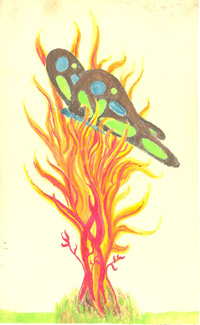 Rose - Etching by Min James